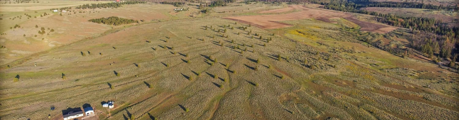 MIDDLE RD, Bickleton, Washington 99322, 0 , 0 ,0,Agricultural Land,For Sale,MIDDLE RD,0,288006