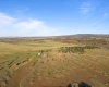 MIDDLE RD, Bickleton, Washington 99322, 0 , 0 ,0,Agricultural Land,For Sale,MIDDLE RD,0,288006
