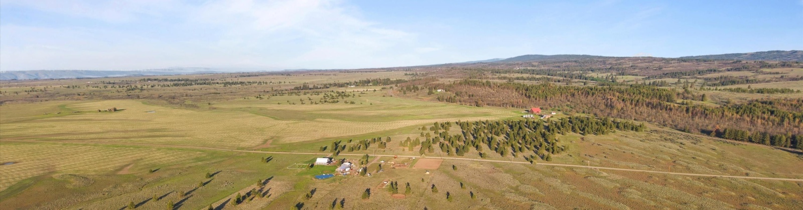 MIDDLE RD, Bickleton, Washington 99322, 0 , 0 ,0,Agricultural Land,For Sale,MIDDLE RD,0,288006