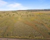 MIDDLE RD, Bickleton, Washington 99322, 0 , 0 ,0,Agricultural Land,For Sale,MIDDLE RD,0,288006