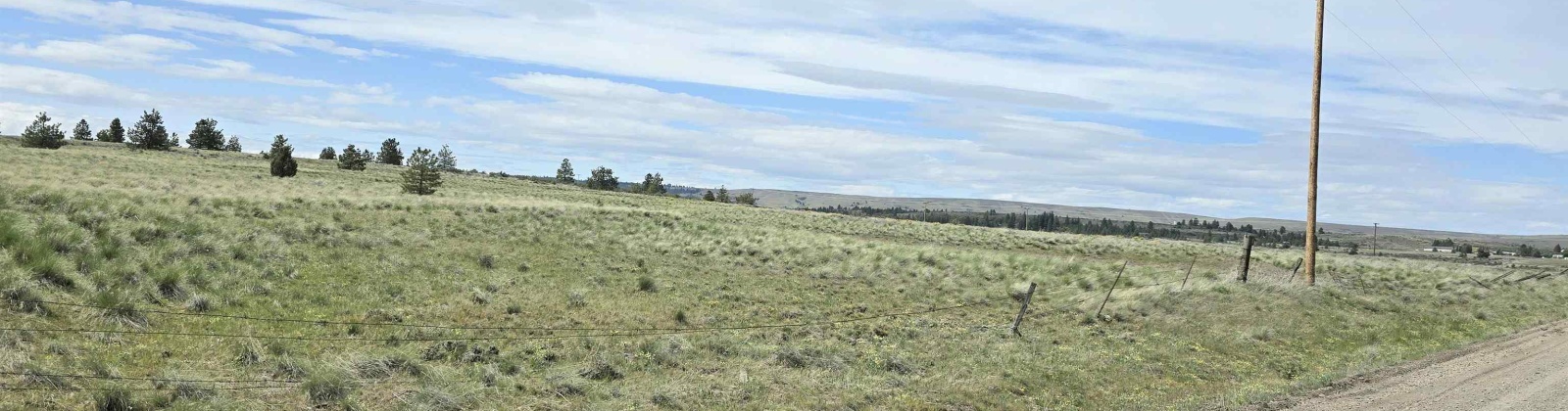 MIDDLE RD, Bickleton, Washington 99322, 0 , 0 ,0,Agricultural Land,For Sale,MIDDLE RD,0,288006