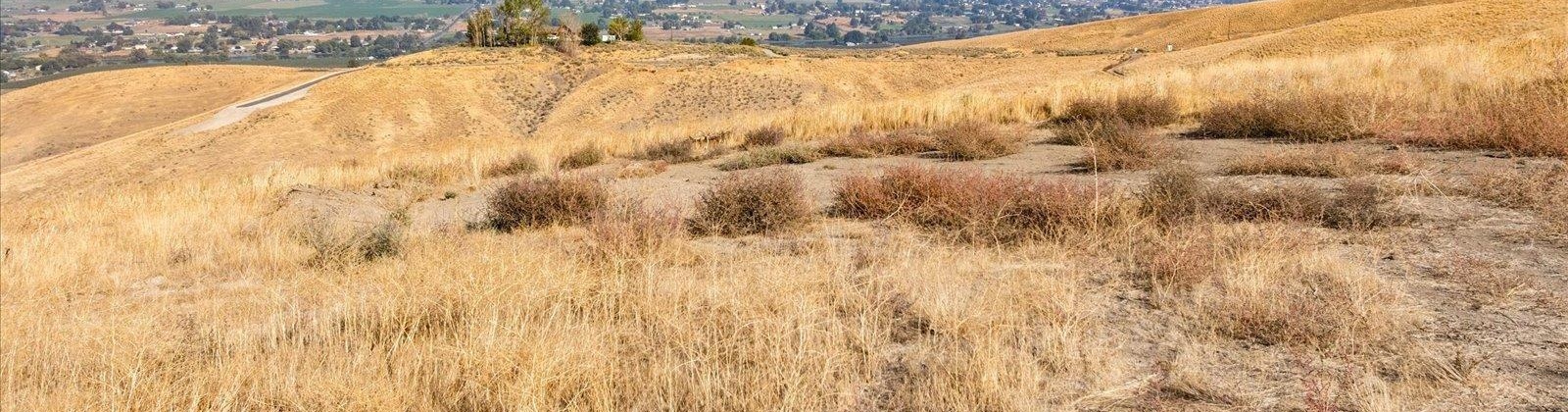 PRSW 1500, Prosser, Washington 99350, 0 , 0 ,0,Land/lots,For Sale,PRSW 1500,0,288018