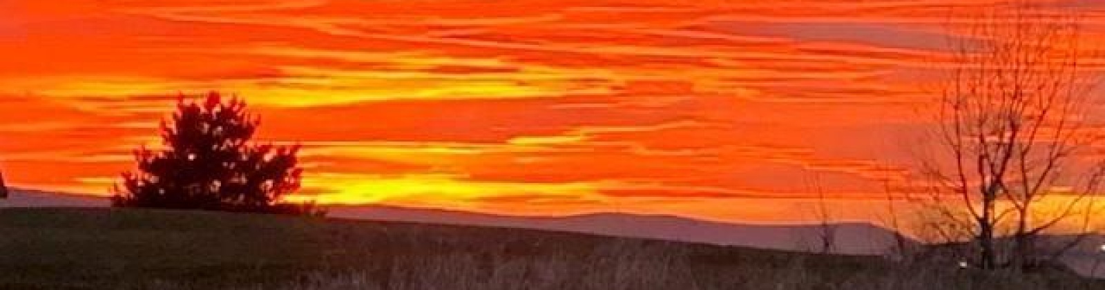 Eaglewatch Lp, Richland, Washington 99354, 3 Bedrooms Bedrooms, 0 ,2 BathroomsBathrooms,Houses,For Sale,Eaglewatch Lp,0,288013