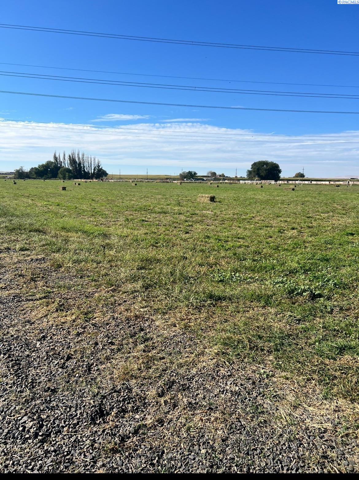 Hornby Rd, Grandview, Washington 98930, 0 , 0 ,0,Agricultural Land,For Sale,Hornby Rd,0,288036