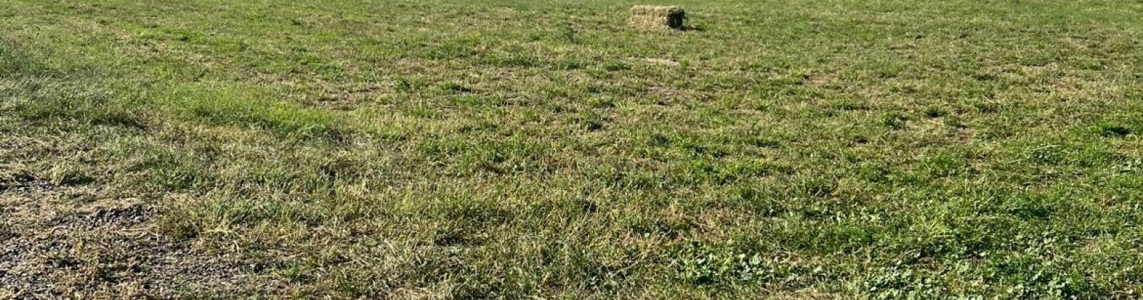 Hornby Rd, Grandview, Washington 98930, 0 , 0 ,0,Agricultural Land,For Sale,Hornby Rd,0,288036