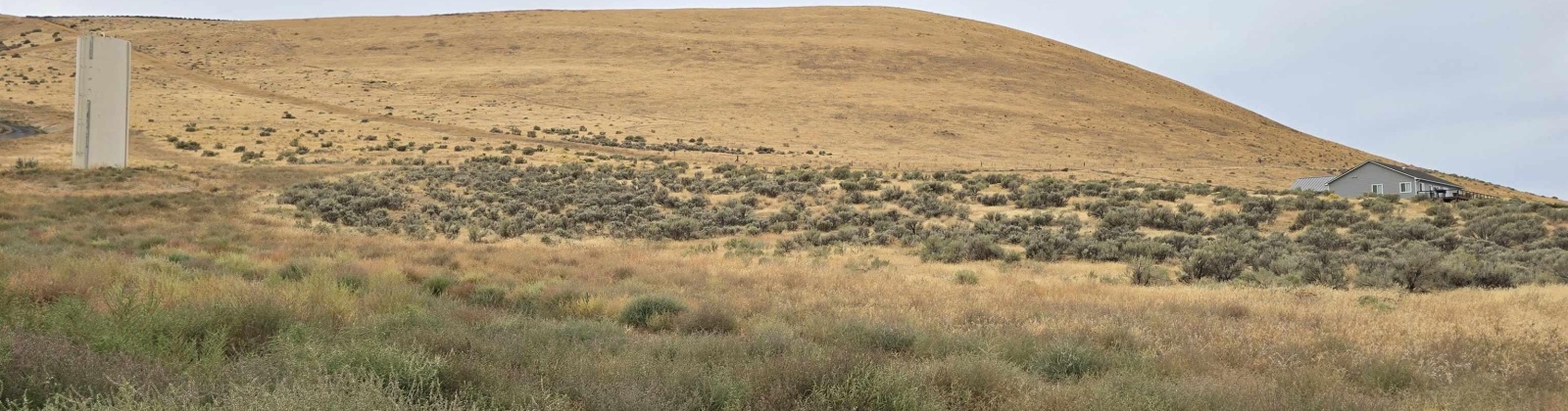 Ruppert Road (223.96 acres), Benton City, Washington 99320, 0 , 0 ,0,Land/lots,For Sale,Ruppert Road (223.96 acres),0,288031