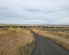 Ruppert Road (223.96 acres), Benton City, Washington 99320, 0 , 0 ,0,Land/lots,For Sale,Ruppert Road (223.96 acres),0,288031