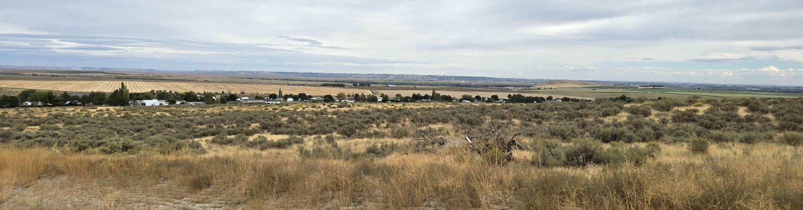 Ruppert Road (223.96 acres), Benton City, Washington 99320, 0 , 0 ,0,Land/lots,For Sale,Ruppert Road (223.96 acres),0,288031