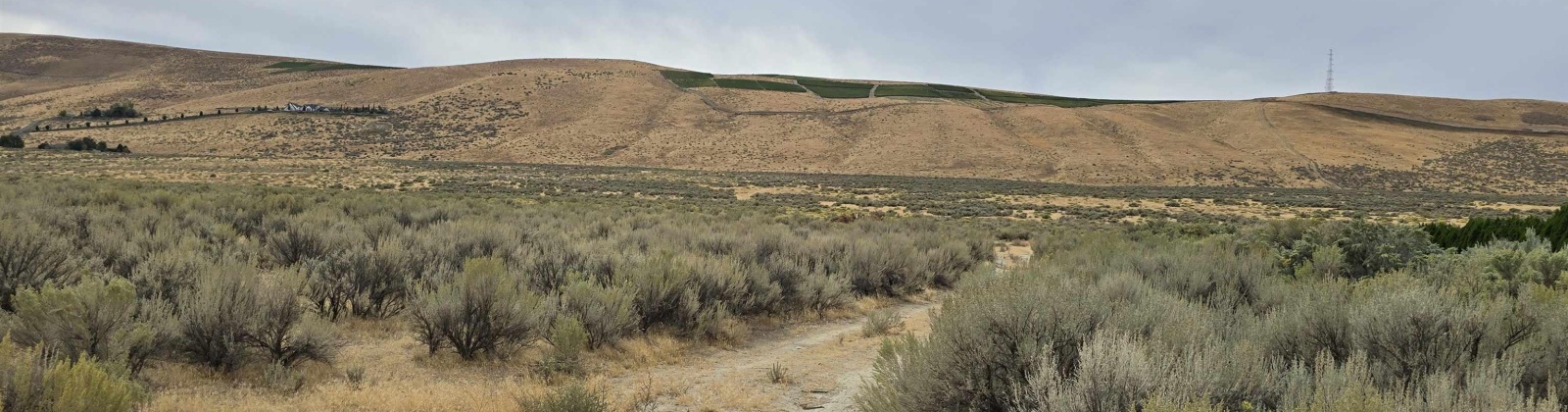 Ruppert Road (223.96 acres), Benton City, Washington 99320, 0 , 0 ,0,Land/lots,For Sale,Ruppert Road (223.96 acres),0,288031