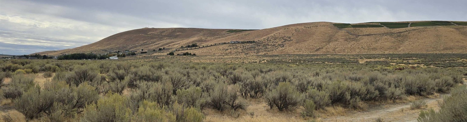 Ruppert Road (223.96 acres), Benton City, Washington 99320, 0 , 0 ,0,Land/lots,For Sale,Ruppert Road (223.96 acres),0,288031