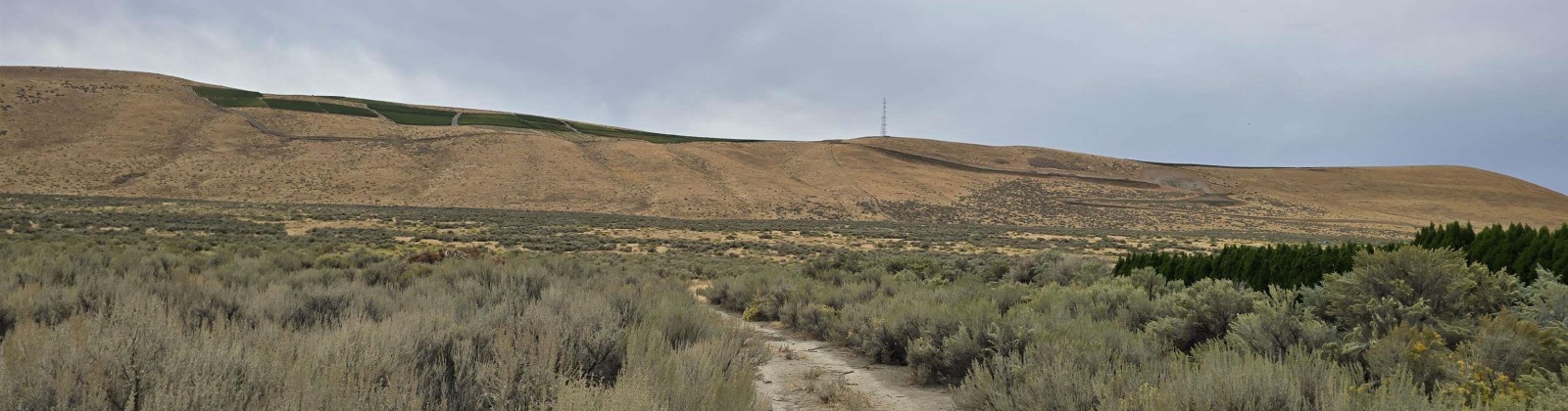 Ruppert Road (223.96 acres), Benton City, Washington 99320, 0 , 0 ,0,Land/lots,For Sale,Ruppert Road (223.96 acres),0,288031