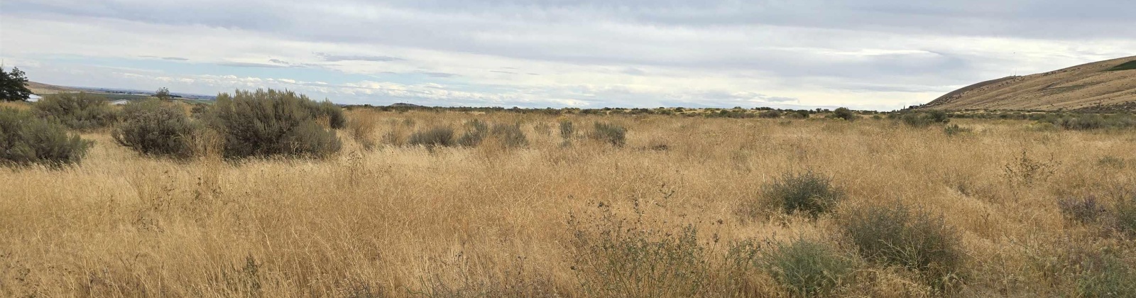 Ruppert Road (223.96 acres), Benton City, Washington 99320, 0 , 0 ,0,Land/lots,For Sale,Ruppert Road (223.96 acres),0,288031