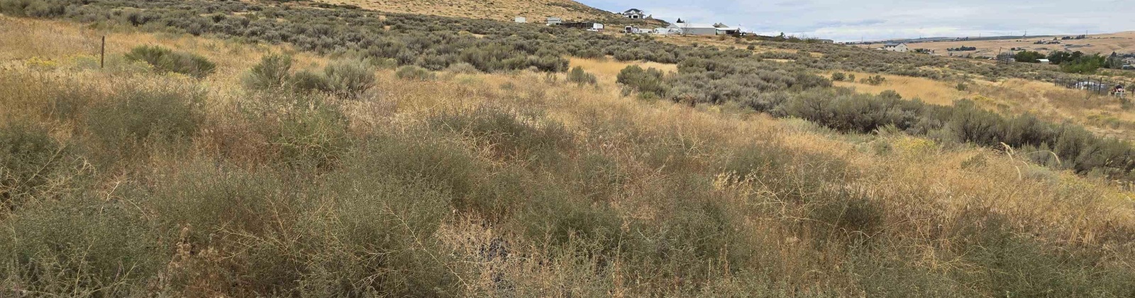 Ruppert Road (223.96 acres), Benton City, Washington 99320, 0 , 0 ,0,Land/lots,For Sale,Ruppert Road (223.96 acres),0,288031