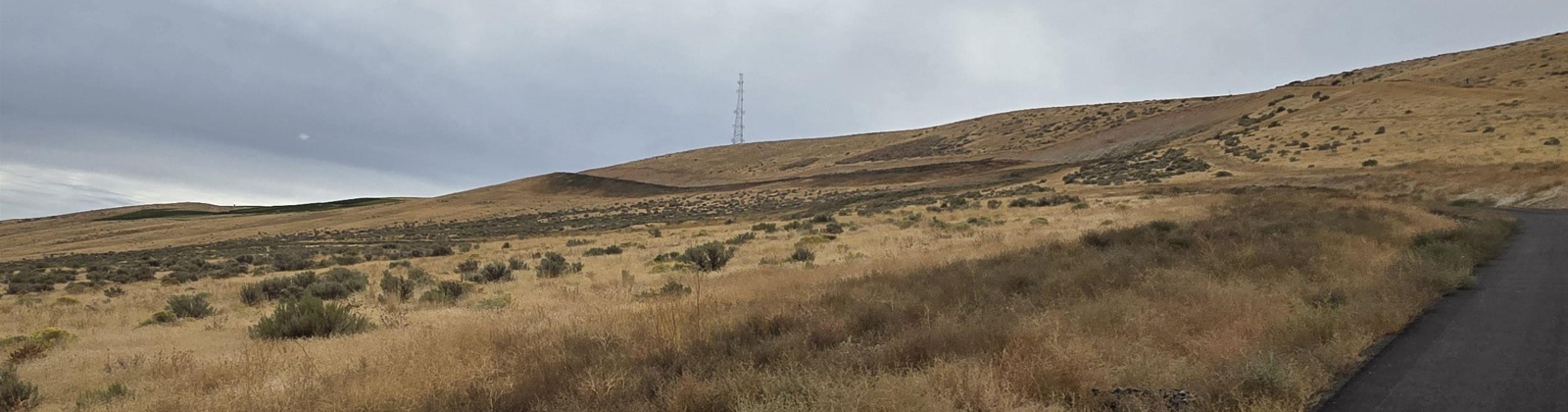 Ruppert Road (223.96 acres), Benton City, Washington 99320, 0 , 0 ,0,Land/lots,For Sale,Ruppert Road (223.96 acres),0,288031