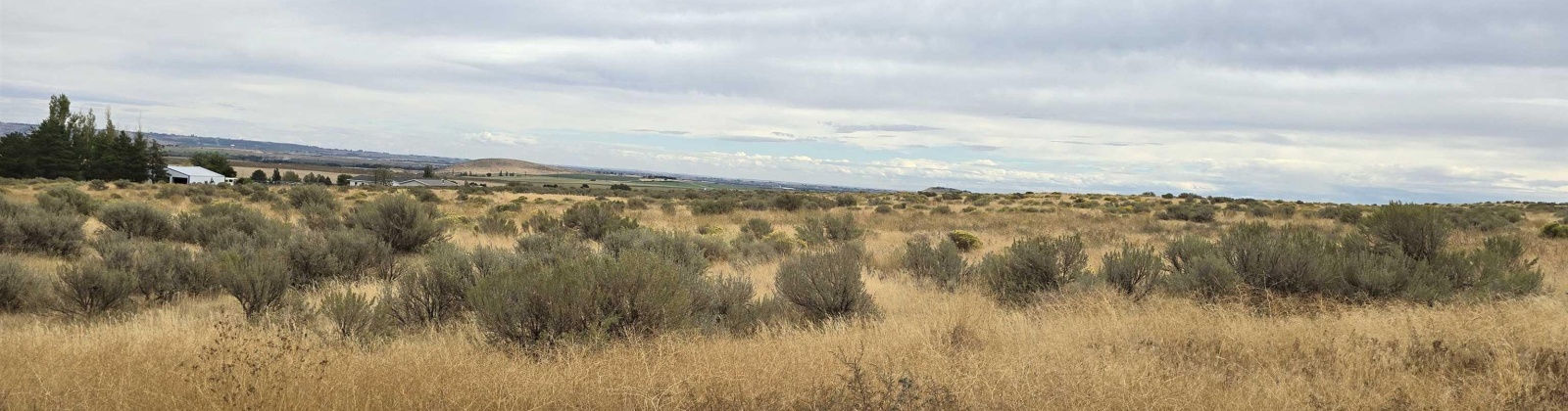 Ruppert Road (223.96 acres), Benton City, Washington 99320, 0 , 0 ,0,Land/lots,For Sale,Ruppert Road (223.96 acres),0,288031