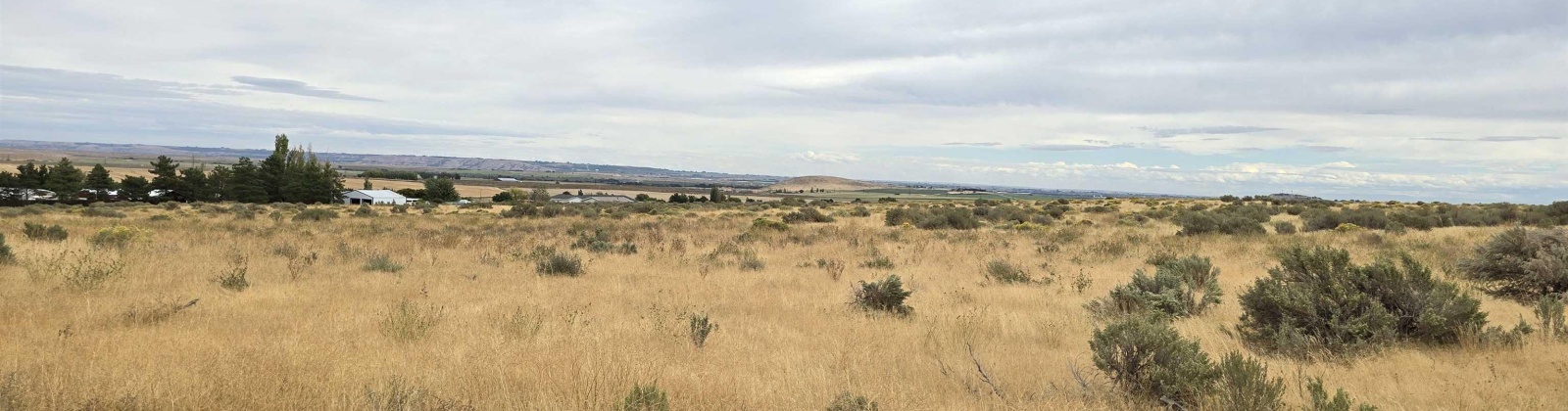 Ruppert Road (223.96 acres), Benton City, Washington 99320, 0 , 0 ,0,Land/lots,For Sale,Ruppert Road (223.96 acres),0,288031