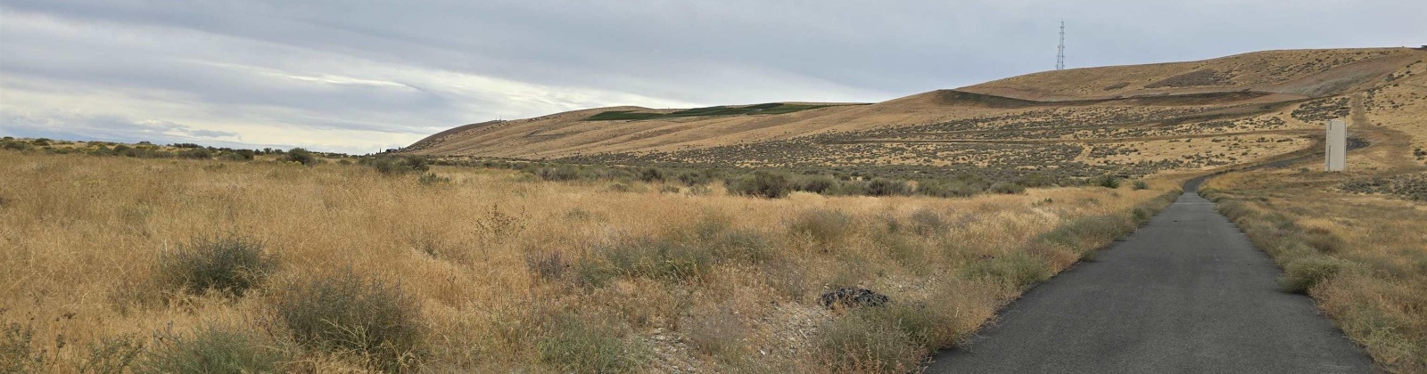 Ruppert Road (223.96 acres), Benton City, Washington 99320, 0 , 0 ,0,Land/lots,For Sale,Ruppert Road (223.96 acres),0,288031