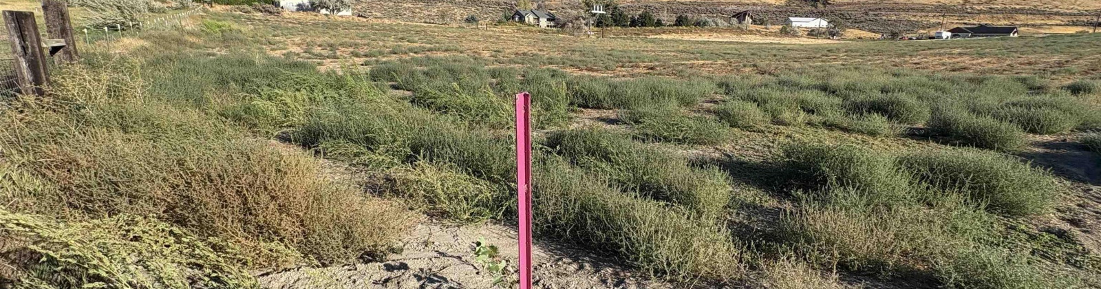 1005 PR SE, Kennewick, Washington 99338, 0 , 0 ,0,Land/lots,For Sale,1005 PR SE,0,288043