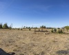 Road D.7, Moses Lake, Washington 98837, 0 , 0 ,0,Land/lots,For Sale,Road D.7,0,288054