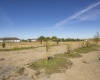 Road D.7, Moses Lake, Washington 98837, 0 , 0 ,0,Land/lots,For Sale,Road D.7,0,288054