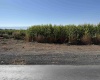 King Tull Rd, Prosser, Washington 99350, 0 , 0 ,0,Agricultural Land,For Sale,King Tull Rd,0,288092