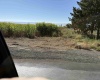 King Tull Rd, Prosser, Washington 99350, 0 , 0 ,0,Agricultural Land,For Sale,King Tull Rd,0,288092