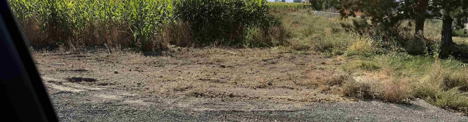 King Tull Rd, Prosser, Washington 99350, 0 , 0 ,0,Agricultural Land,For Sale,King Tull Rd,0,288092