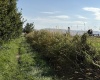 Grandview, Grandview, Washington 98930, 0 , 0 ,0,Agricultural Land,For Sale,Grandview,0,288127