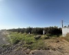 Grandview, Grandview, Washington 98930, 0 , 0 ,0,Agricultural Land,For Sale,Grandview,0,288127