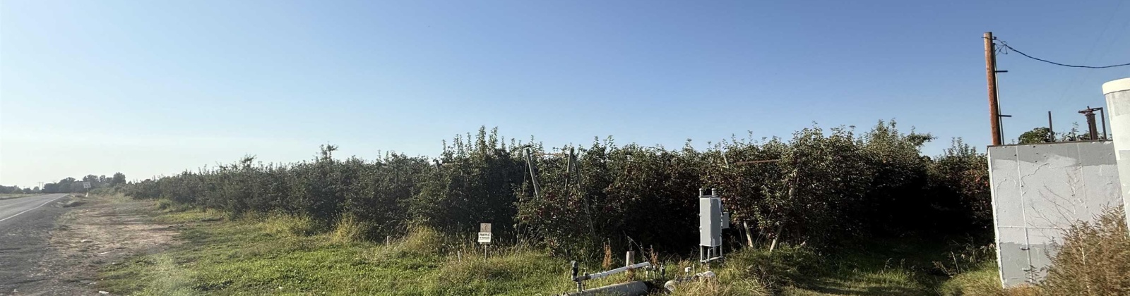 Grandview, Grandview, Washington 98930, 0 , 0 ,0,Agricultural Land,For Sale,Grandview,0,288127