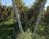 Grandview, Grandview, Washington 98930, 0 , 0 ,0,Agricultural Land,For Sale,Grandview,0,288127