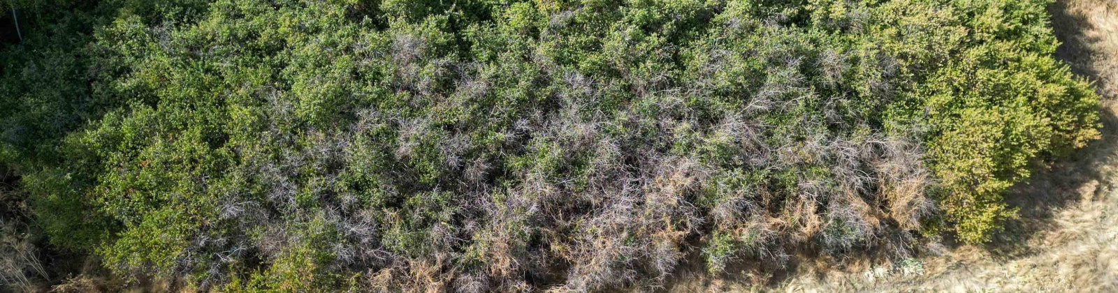 Dilke, Pullman, Washington 99163, 0 , 0 ,0,For Sale,Dilke,0,288131