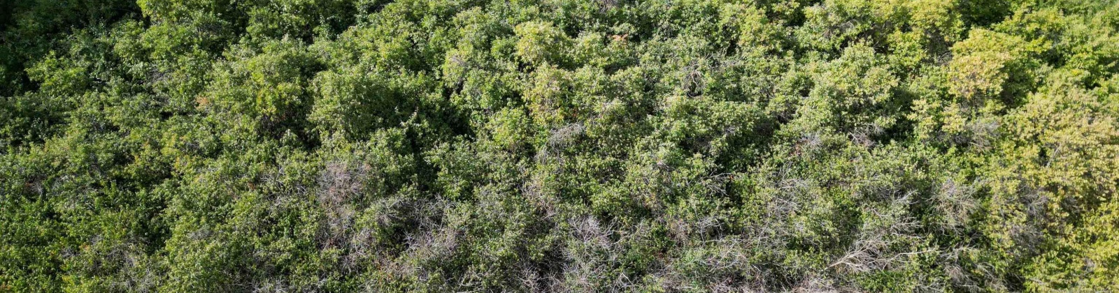 Dilke, Pullman, Washington 99163, 0 , 0 ,0,For Sale,Dilke,0,288131