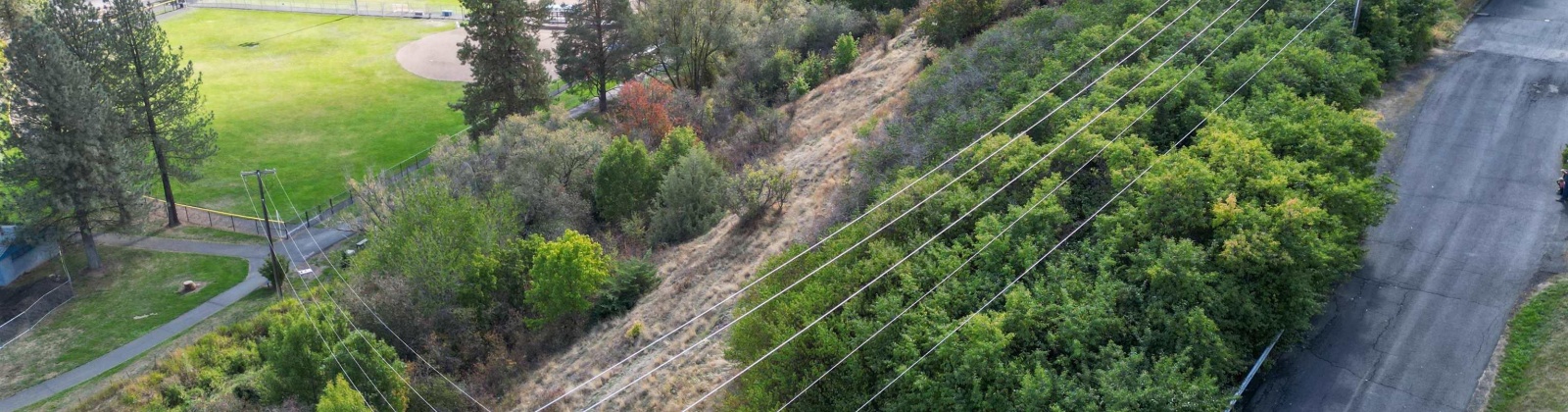 Dilke, Pullman, Washington 99163, 0 , 0 ,0,For Sale,Dilke,0,288131