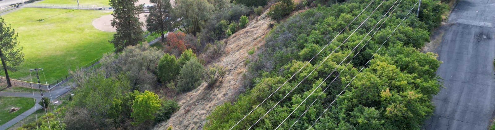 Dilke, Pullman, Washington 99163, 0 , 0 ,0,For Sale,Dilke,0,288131