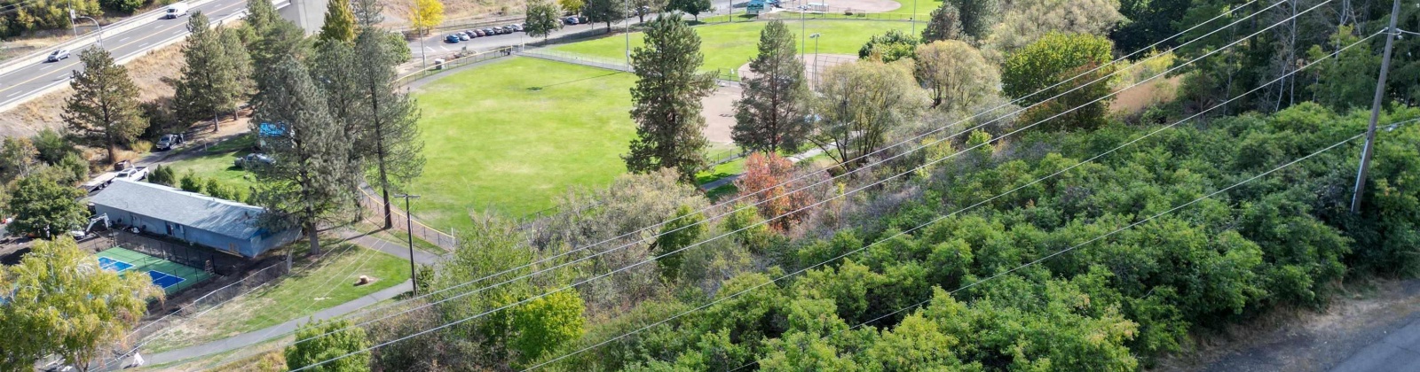 Dilke, Pullman, Washington 99163, 0 , 0 ,0,For Sale,Dilke,0,288131