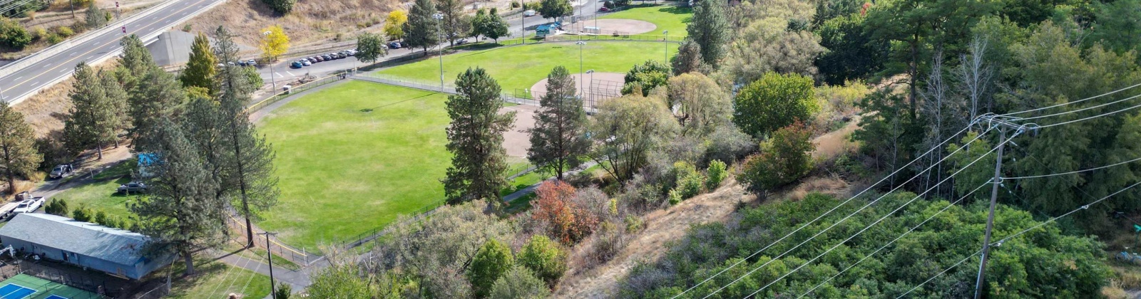 Dilke, Pullman, Washington 99163, 0 , 0 ,0,For Sale,Dilke,0,288131