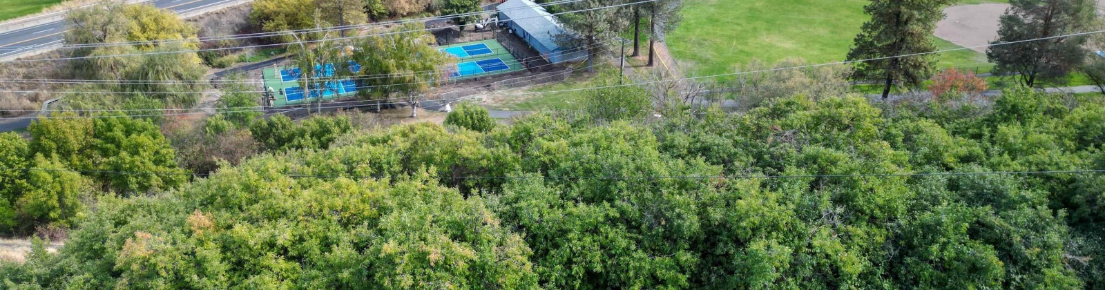 Dilke, Pullman, Washington 99163, 0 , 0 ,0,For Sale,Dilke,0,288131