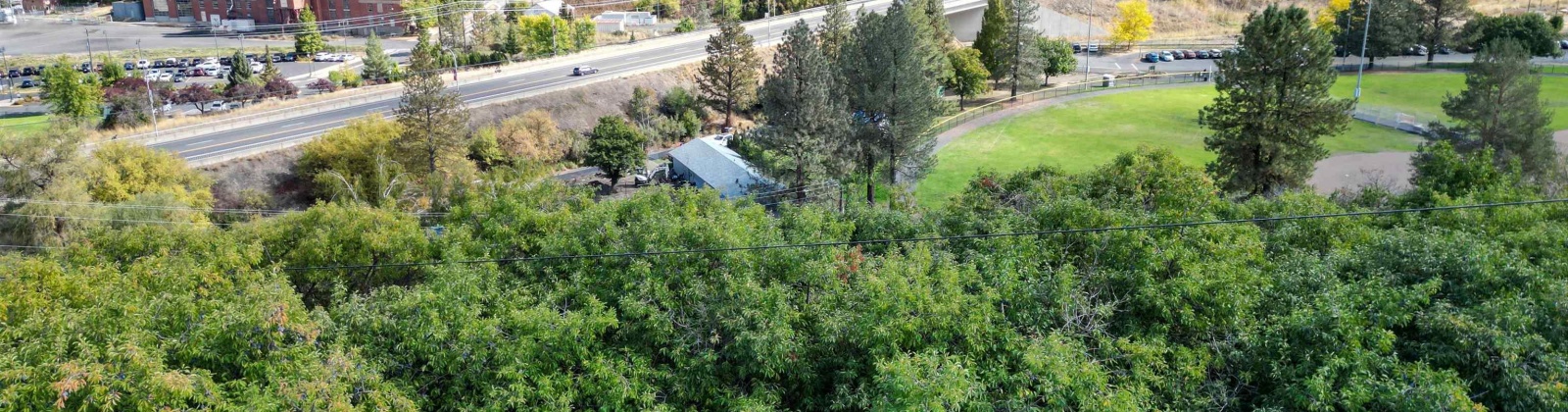 Dilke, Pullman, Washington 99163, 0 , 0 ,0,For Sale,Dilke,0,288131