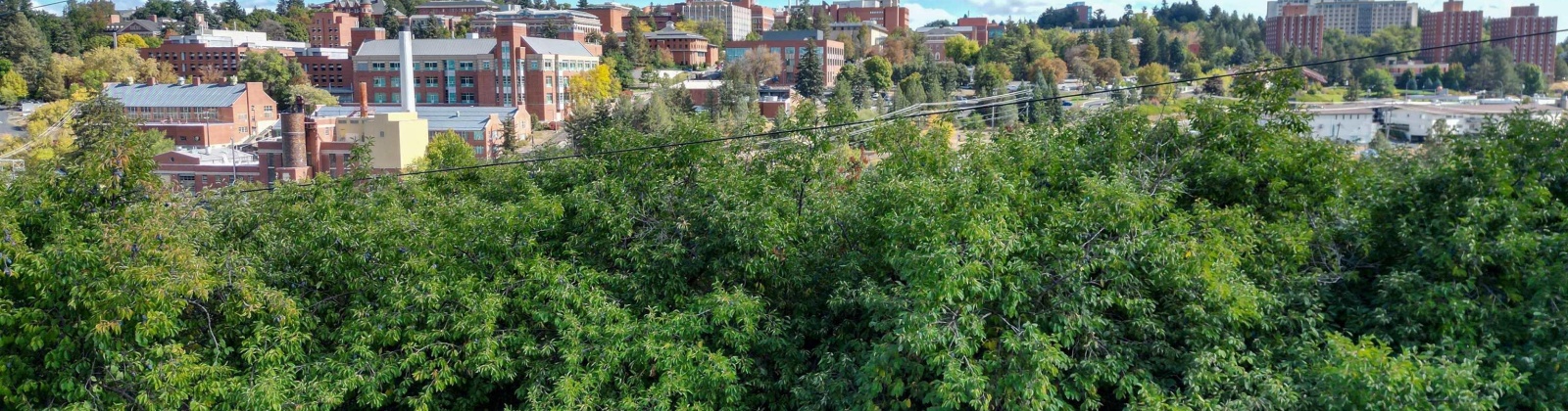 Dilke, Pullman, Washington 99163, 0 , 0 ,0,For Sale,Dilke,0,288131