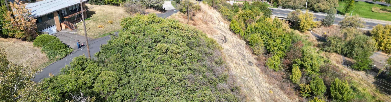 Dilke, Pullman, Washington 99163, 0 , 0 ,0,For Sale,Dilke,0,288131