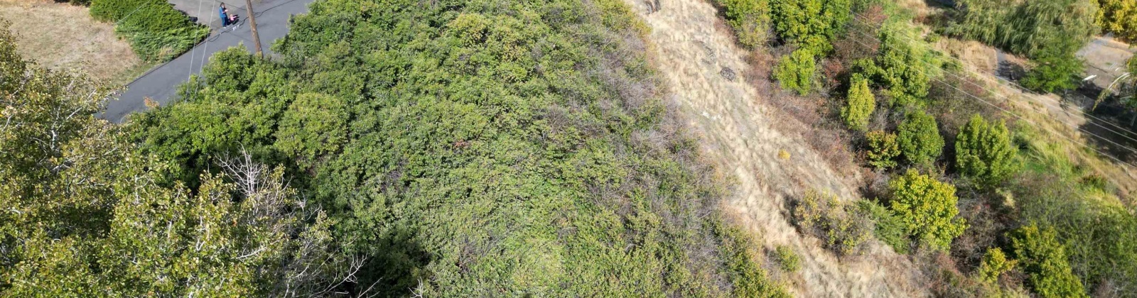 Dilke, Pullman, Washington 99163, 0 , 0 ,0,For Sale,Dilke,0,288131