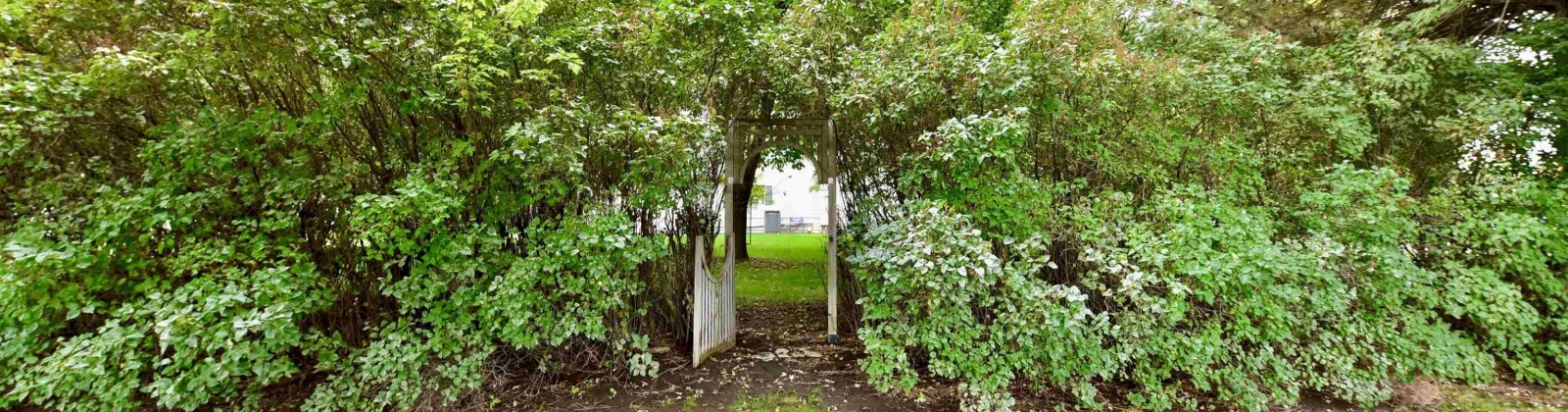 Dogwood Rd., Pasco, Washington 99301, 4 Bedrooms Bedrooms, 0 ,3 BathroomsBathrooms,Houses,For Sale,Dogwood Rd.,0,288174