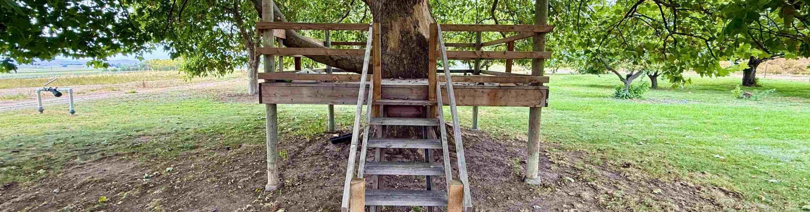 Dogwood Rd., Pasco, Washington 99301, 3 Bedrooms Bedrooms, 0 ,2 BathroomsBathrooms,Manufactured Homes,For Sale,Dogwood Rd.,0,288176