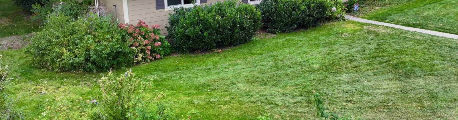 Elm Rd., Pasco, Washington 99301, 4 Bedrooms Bedrooms, 0 ,2 BathroomsBathrooms,Houses,For Sale,Elm Rd.,0,288175