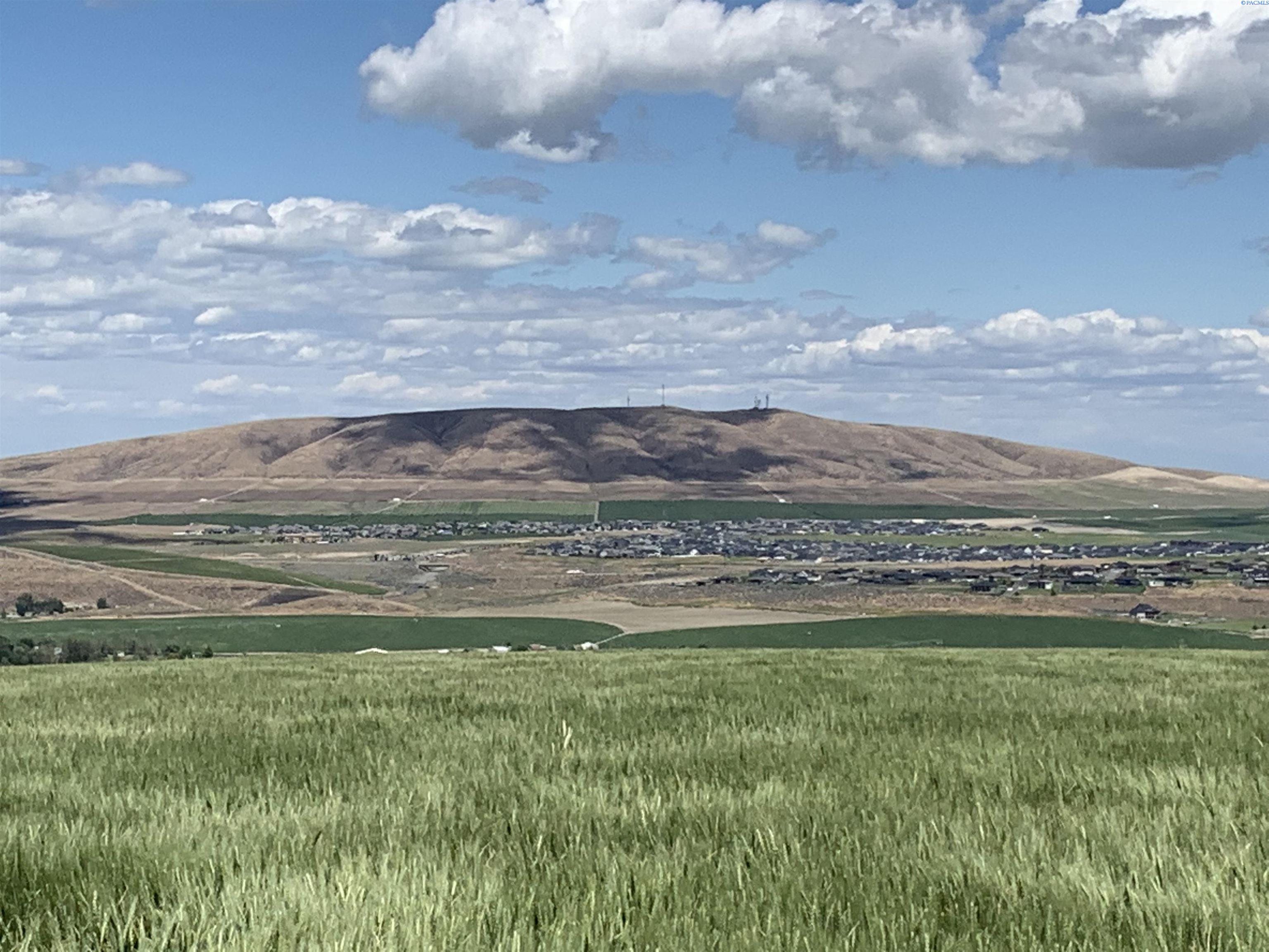 Badger Road, Kennewick, Washington 99338, 0 , 0 ,0,Agricultural Land,For Sale,Badger Road,0,288190