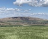 Badger Road, Kennewick, Washington 99338, 0 , 0 ,0,Agricultural Land,For Sale,Badger Road,0,288190