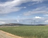Badger Road, Kennewick, Washington 99338, 0 , 0 ,0,Agricultural Land,For Sale,Badger Road,0,288190