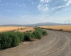 Badger Road, Kennewick, Washington 99338, 0 , 0 ,0,Agricultural Land,For Sale,Badger Road,0,288190