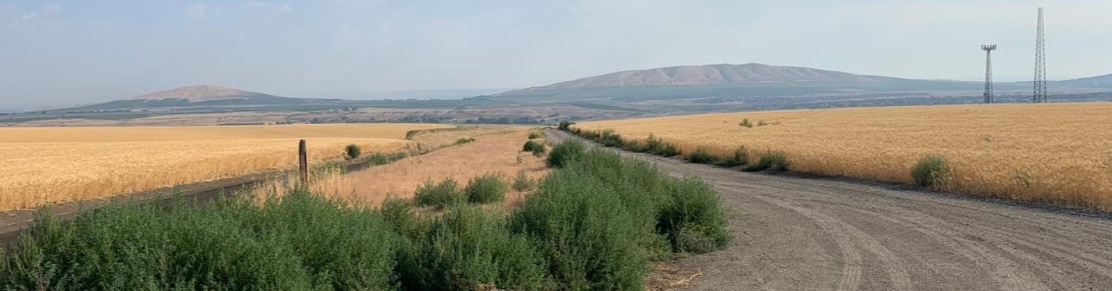 Badger Road, Kennewick, Washington 99338, 0 , 0 ,0,Agricultural Land,For Sale,Badger Road,0,288190